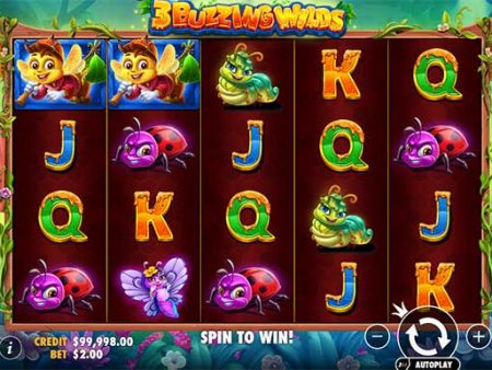 Hướng dẫn cách chơi slot 3 Buzzing Wilds tại Dafabet